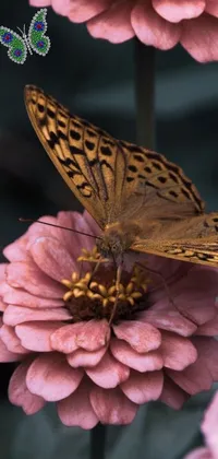 Beautiful Butterfly 🦋 Live Wallpaper