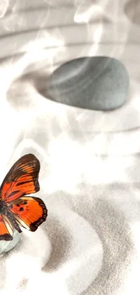 Enhance your phone's beauty with a minimalistic live wallpaper of a butterfly resting on a rock in a vibrant garden