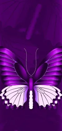 This live phone wallpaper showcases a stunning butterfly in intricate detail on a regal purple background