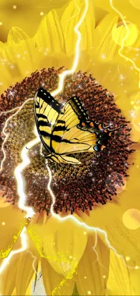 Pollinator Insect Arthropod Live Wallpaper