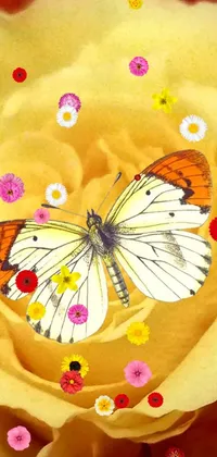 Pollinator Insect Arthropod Live Wallpaper