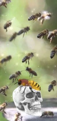 Bees Live Wallpaper