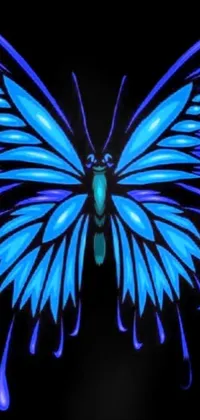Pollinator Insect Azure Live Wallpaper