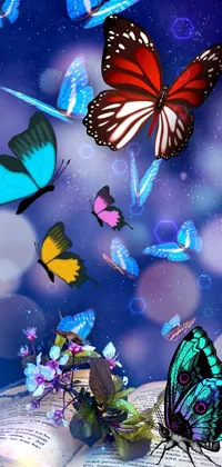 clw_1672386551433 Live Wallpaper