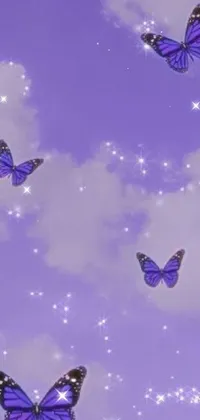 Pollinator Insect Blue Live Wallpaper