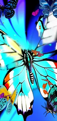 Beautiful Butterflies Live Wallpaper