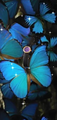 Pollinator Insect Blue Live Wallpaper