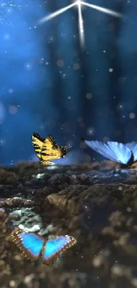 butterflies Live Wallpaper