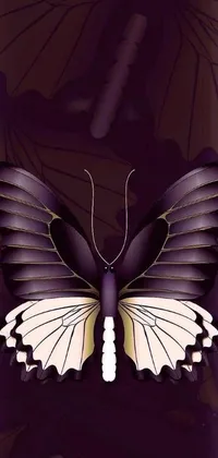This phone wallpaper depicts a black and white butterfly, inspired by digital 
art