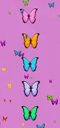 Pollinator Insect Butterfly Live Wallpaper