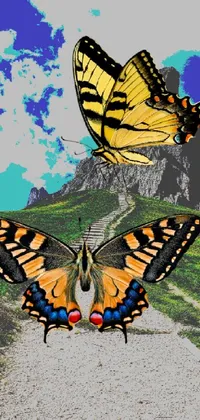 Butterfly mountain Live Wallpaper