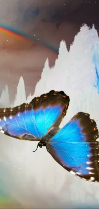 Pollinator Insect Butterfly Live Wallpaper