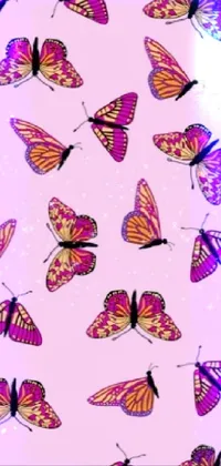 Butterfly Wallpaper  Live Wallpaper