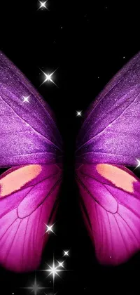 Butterfly 1 Live Wallpaper