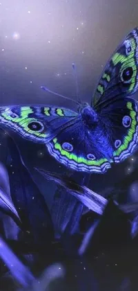 This live wallpaper features a stunning butterfly perched atop a beautiful purple flower