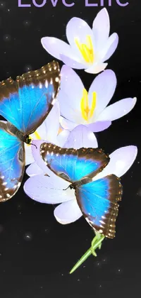 Pollinator Insect Flower Live Wallpaper