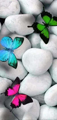 Pollinator Insect Green Live Wallpaper