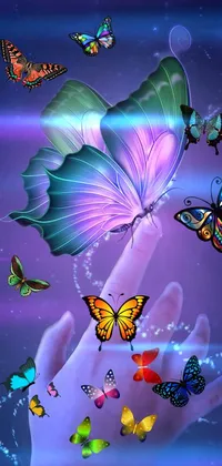 Pollinator Insect Light Live Wallpaper