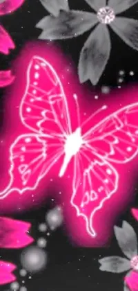 Pollinator Insect Light Live Wallpaper
