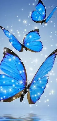 Blue butterflies Live Wallpaper