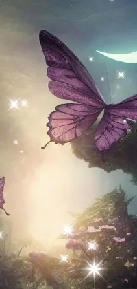 Pollinator Insect Mythical Creature Live Wallpaper