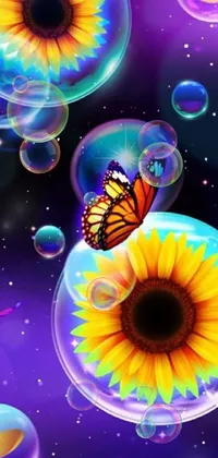 Pollinator Insect Nature Live Wallpaper