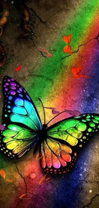 rainbow butterfly Live Wallpaper