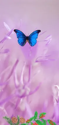 Flying Butterfly Live Wallpaper