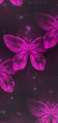 Pollinator Insect Purple Live Wallpaper