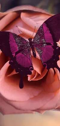 Pollinator Mythical Creature Butterfly Live Wallpaper