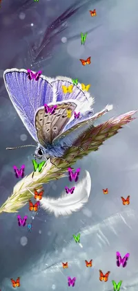 Pollinator Organism Mythical Creature Live Wallpaper