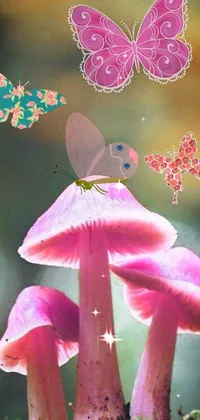 Pollinator Plant Insect Live Wallpaper