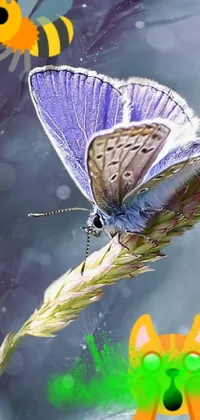 Adorn your phone screen with a stunning blue butterfly perched on a plant in this live wallpaper