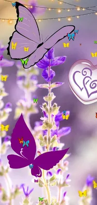 Pollinator Purple Insect Live Wallpaper
