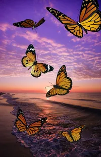 Pollinator Sky Butterfly Live Wallpaper