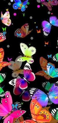 Pollinator Vertebrate Butterfly Live Wallpaper