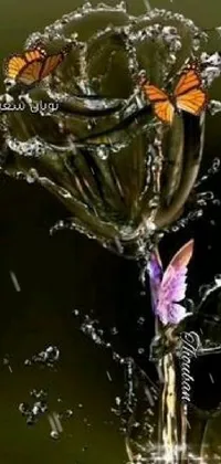Pollinator Water Insect Live Wallpaper