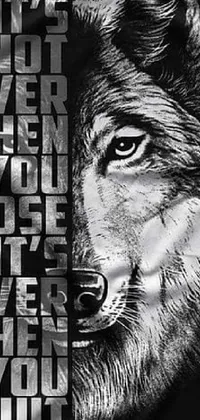 Get inspired by this fierce black and white wolf phone live wallpaper that exudes strength and grit