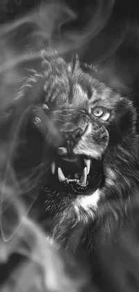 This phone live wallpaper showcases a fierce black and white image of a lion in a snarling pose