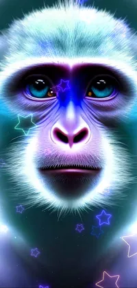 Primate Facial Expression Vertebrate Live Wallpaper