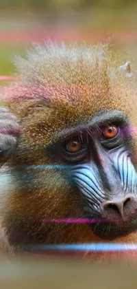 Primate Fawn Terrestrial Animal Live Wallpaper