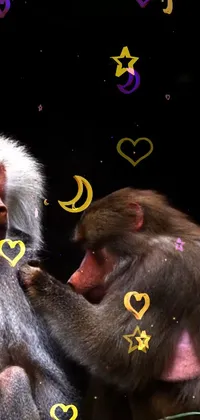 Primate Gesture Snout Live Wallpaper