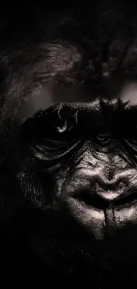 Primate Jaw Wrinkle Live Wallpaper