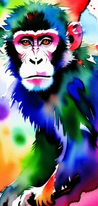 Primate Nature Organism Live Wallpaper