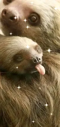 Primate Sloth Liver Live Wallpaper