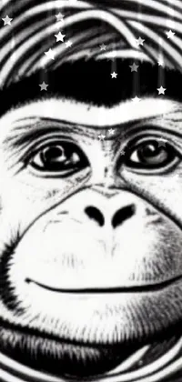 Primate Vertebrate Mammal Live Wallpaper