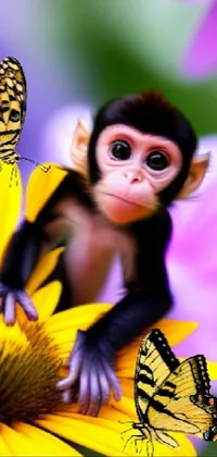 "Get the cutest and most playful phone live wallpaper on your screen! This vibrant wall decor showcases a small monkey sitting atop a yellow flower and surrounded by fluttering butterflies