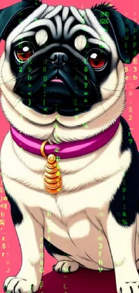 This live wallpaper features a black and white pug, set against a bright pink background
