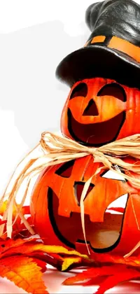 Decorate your mobile screen with a lively Pumpkin Live Wallpaper this Halloween season