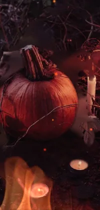 Halloween 👻🎃 Live Wallpaper